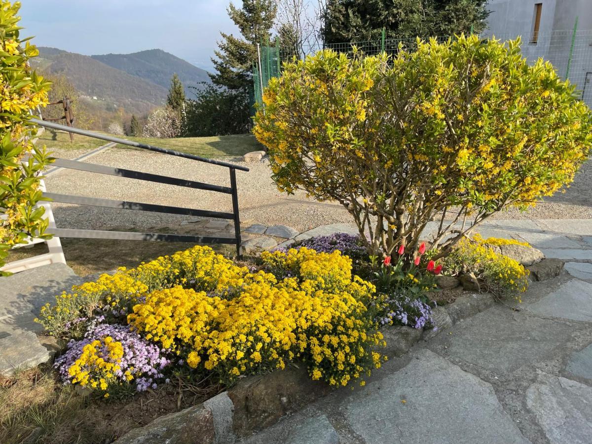 Camere Villa Lunardini Frassinetto  Dış mekan fotoğraf